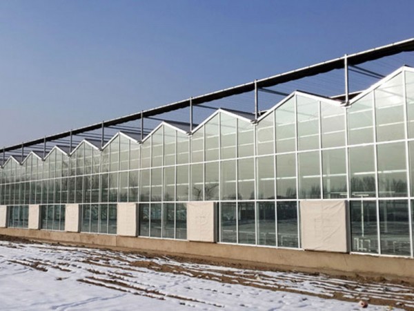 解析玻璃溫室大棚的優(yōu)點及用途