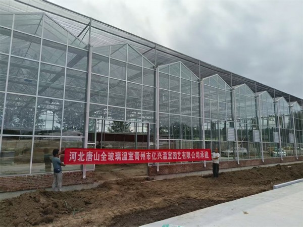 河北唐山全玻璃溫室案例