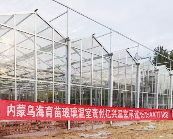 內蒙烏海育苗玻璃溫室